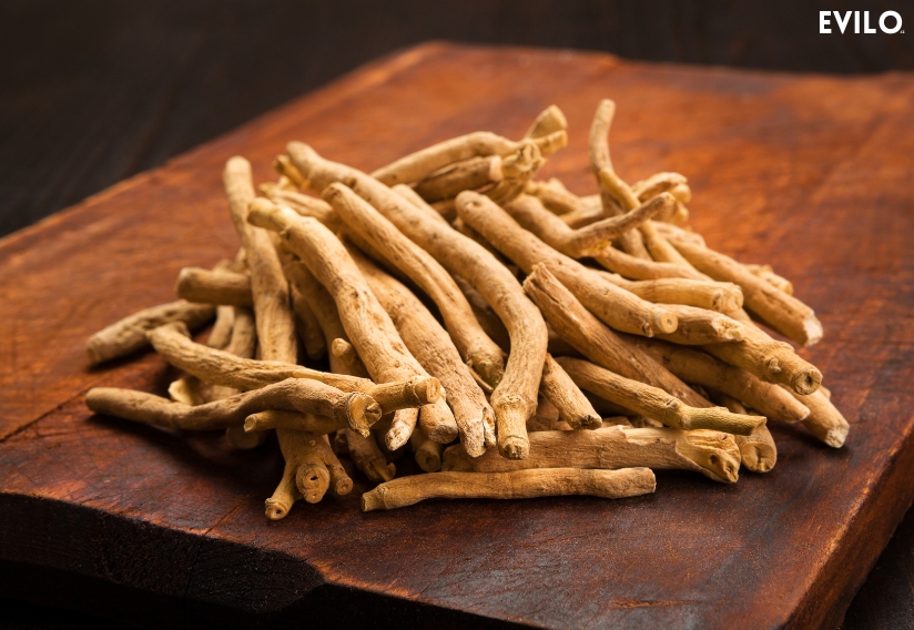 🧠 Ashwagandha: Starověká bylinka pro moderní život