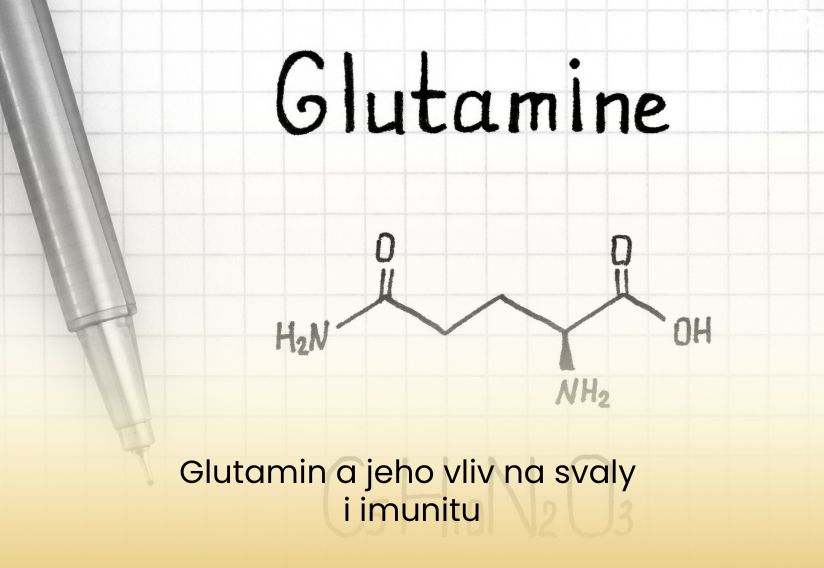 Glutamin a jeho vliv na svaly i imunitu