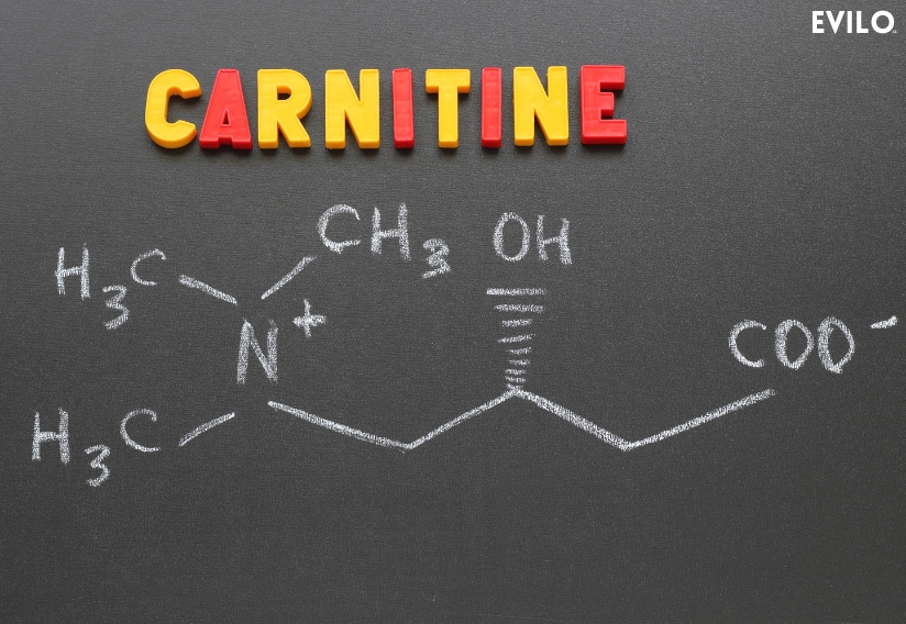 L-Carnitin: Přírodní spalovač tuků a pomocník při sportu