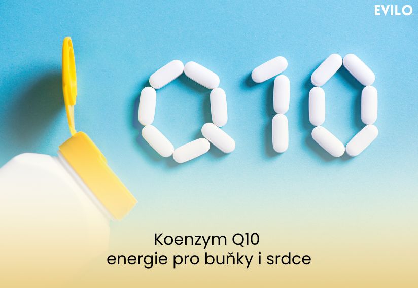 Koenzym Q10 – energie pro buňky i srdce