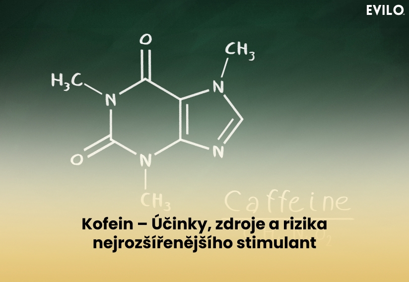 Kofein – Účinky, zdroje a rizika nejrozšířenějšího stimulant
