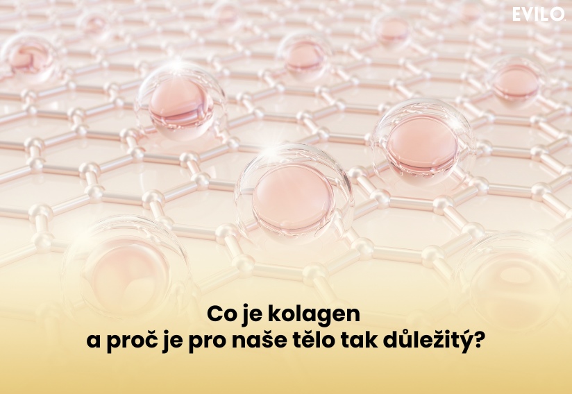 Co je kolagen a proč je pro naše tělo tak důležitý?