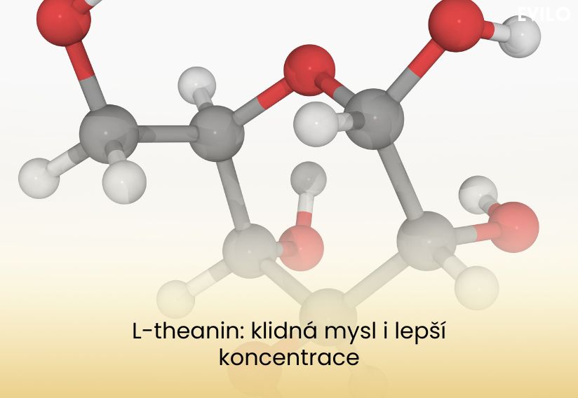 L-theanin: klidná mysl i lepší koncentrace