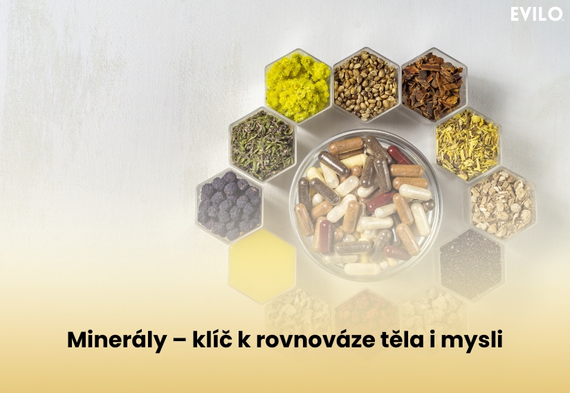 🧠 Minerály – klíč k rovnováze těla i mysli