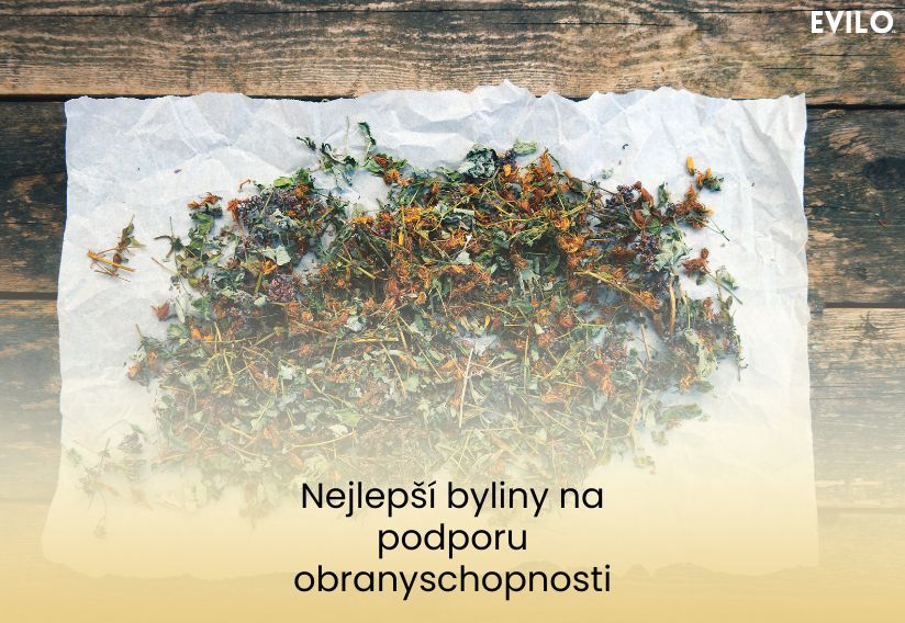 Nejlepší byliny na podporu obranyschopnosti