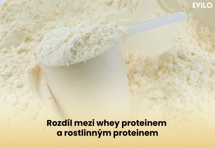 Rozdíl mezi whey proteinem a rostlinným proteinem
