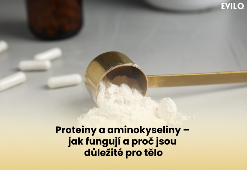 Proteiny a aminokyseliny – jak fungují a proč jsou důležité pro tělo