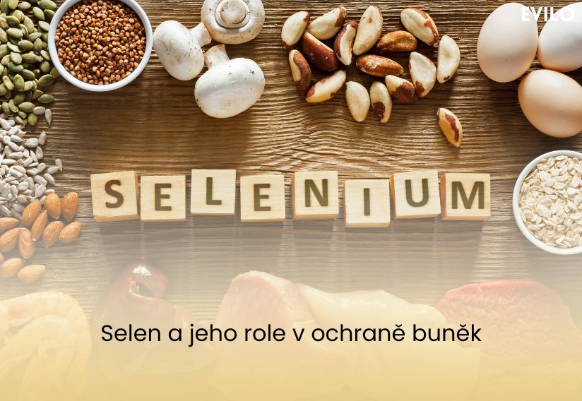 Selen a jeho role v ochraně buněk