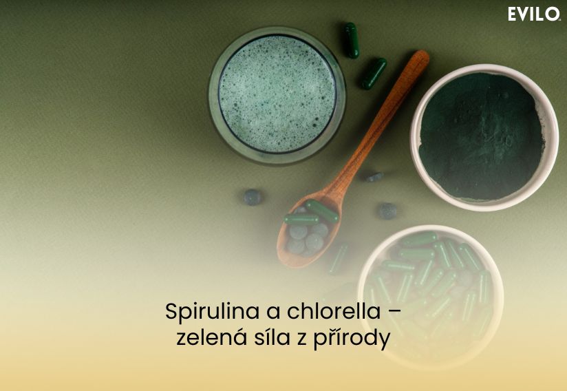 Spirulina a chlorella – zelená síla z přírody