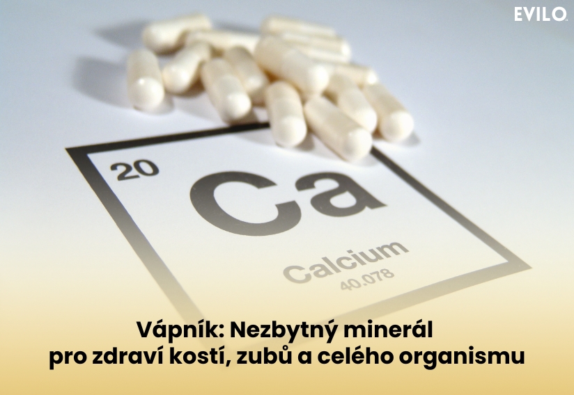 Vápník: Nezbytný minerál pro zdraví kostí, zubů a celého organismu