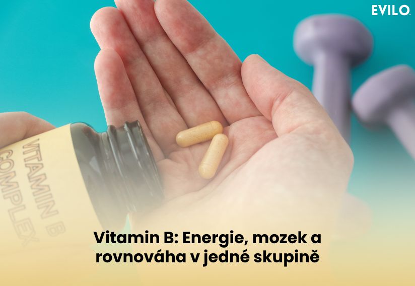 Vitamin B: Energie, mozek a rovnováha v jedné skupině