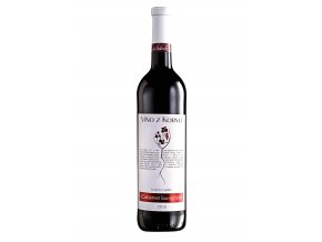 Cabernet Sauvignon PS 2015 VINA A4 300dpi