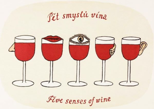 Čím je víno starší, tím je lepší!