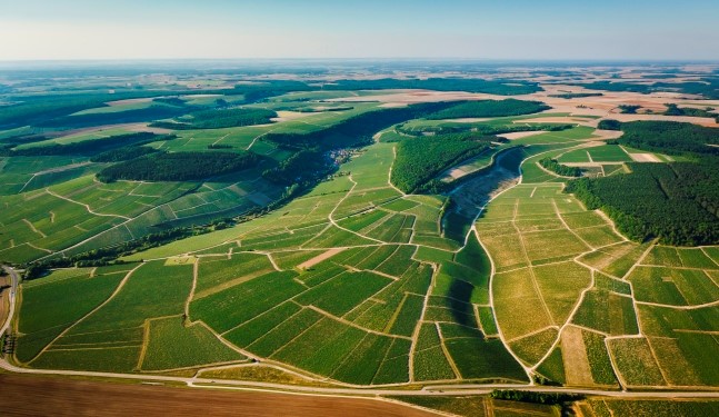 Bourgogne - Chablis (FR)