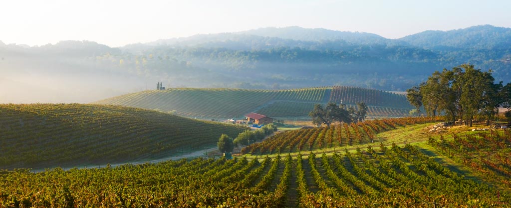 Vallée du Rhône (FR)