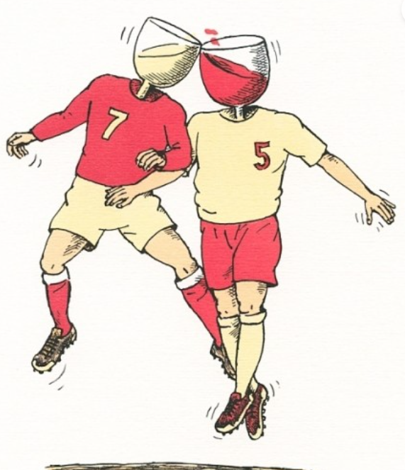 Vínotečka - červenec 2024