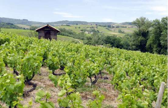 Beaujolais (FR)