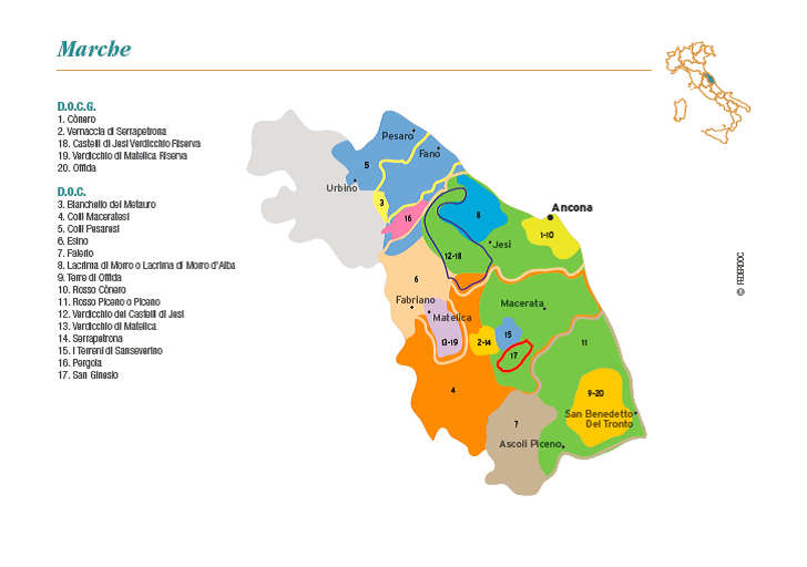 marche-wine-map.jpg