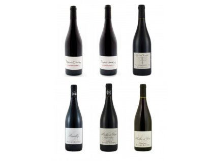 Výběr na březen - Gamay