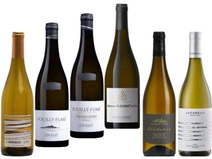 sauv