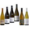 sauv