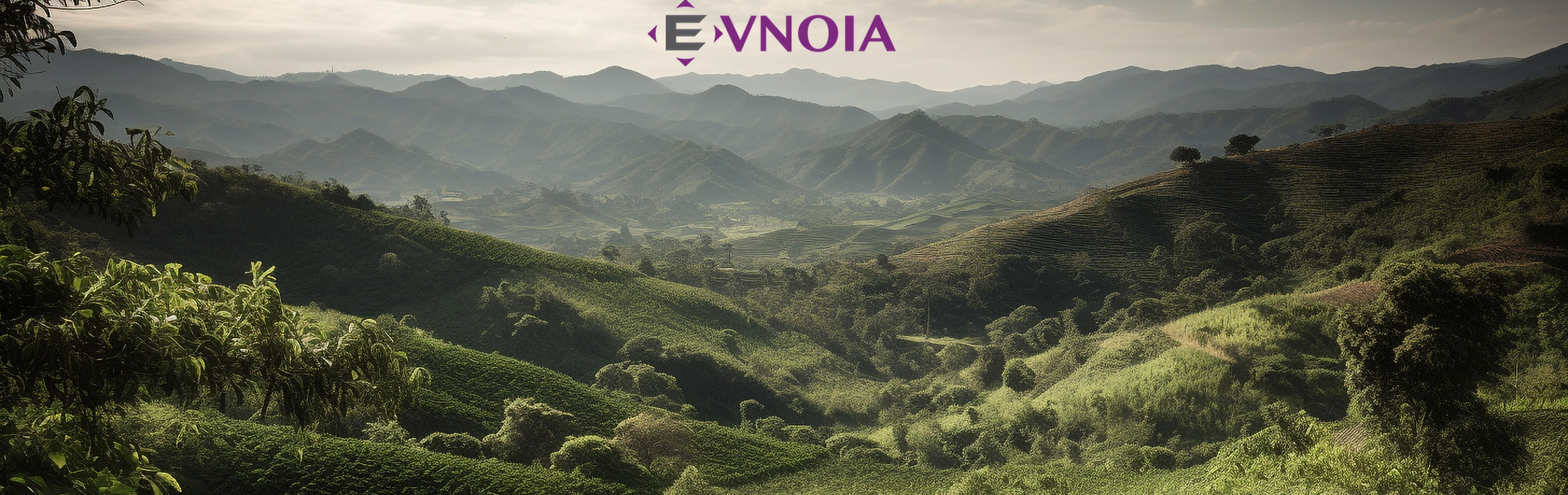 aboutevnoia