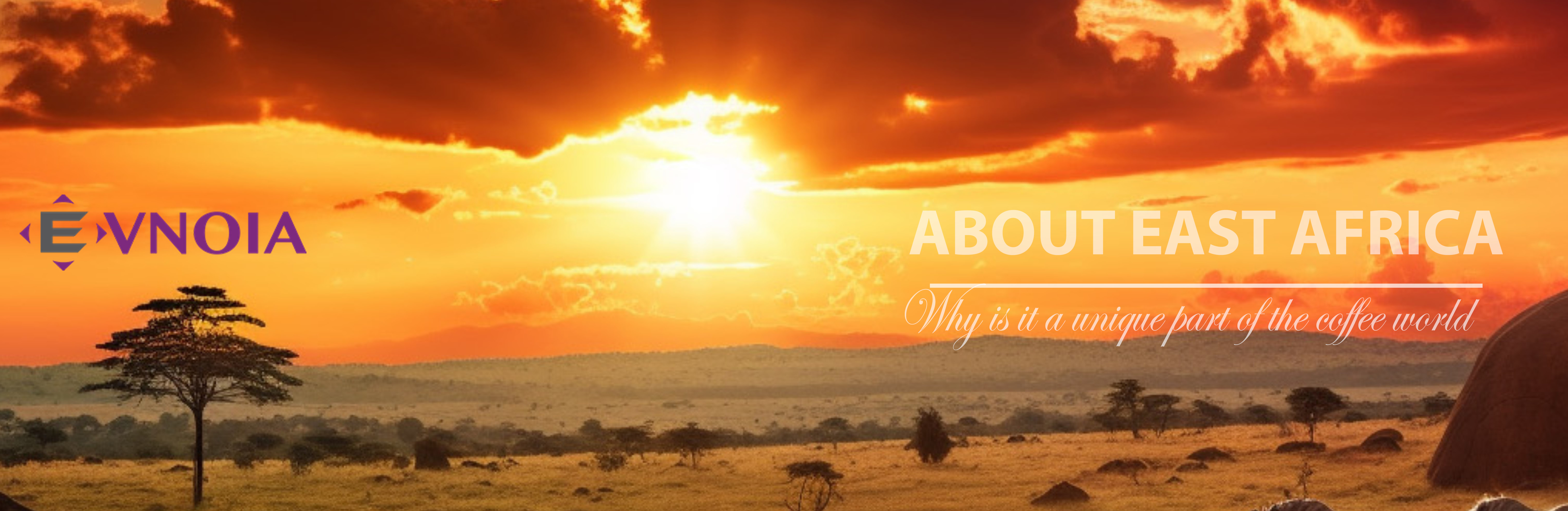 africa_1
