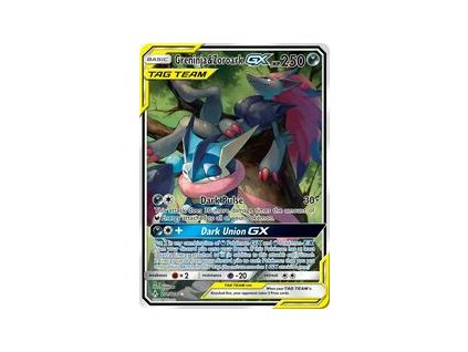 Greninja&Zoroark GX 201214