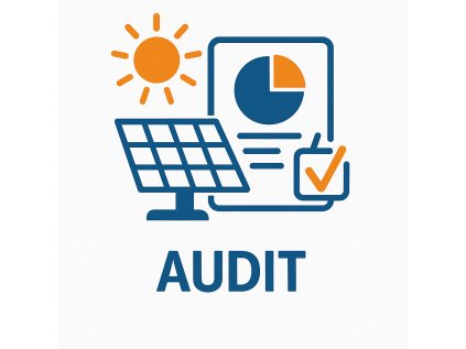 audit