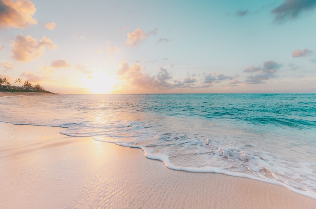 sean-oulashin-KMn4VEeEPR8-unsplash-evtech_cz-everest-technology-tropical-hawaii-parfem