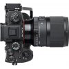 Sigma 50mm F1 4 DG DN Art Lens Top