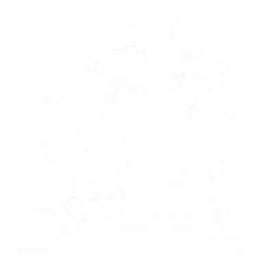 Excelmobility