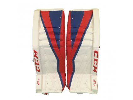 CCM E-FLEX 3.9 TORWART SCHIENE int