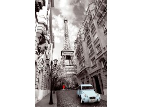 paris girl