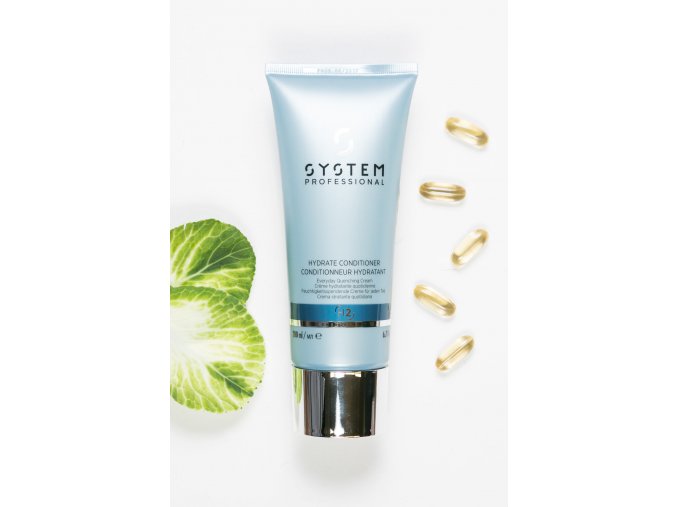 H2-Hydrate Conditioner