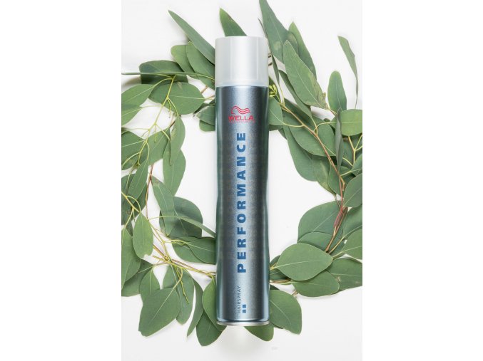 Performance Strong Spray 500ml