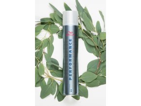 Performance Strong Spray 500ml