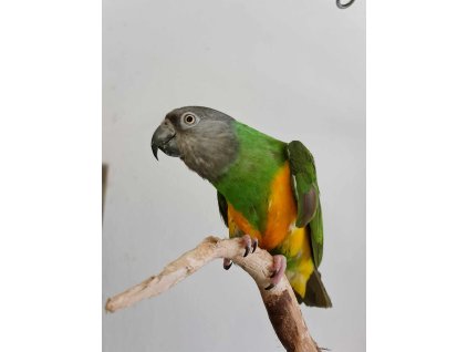 fe9d563c d4f4 4f58 9d02 352b24a671d5