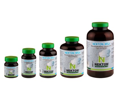 NEKTON MSA