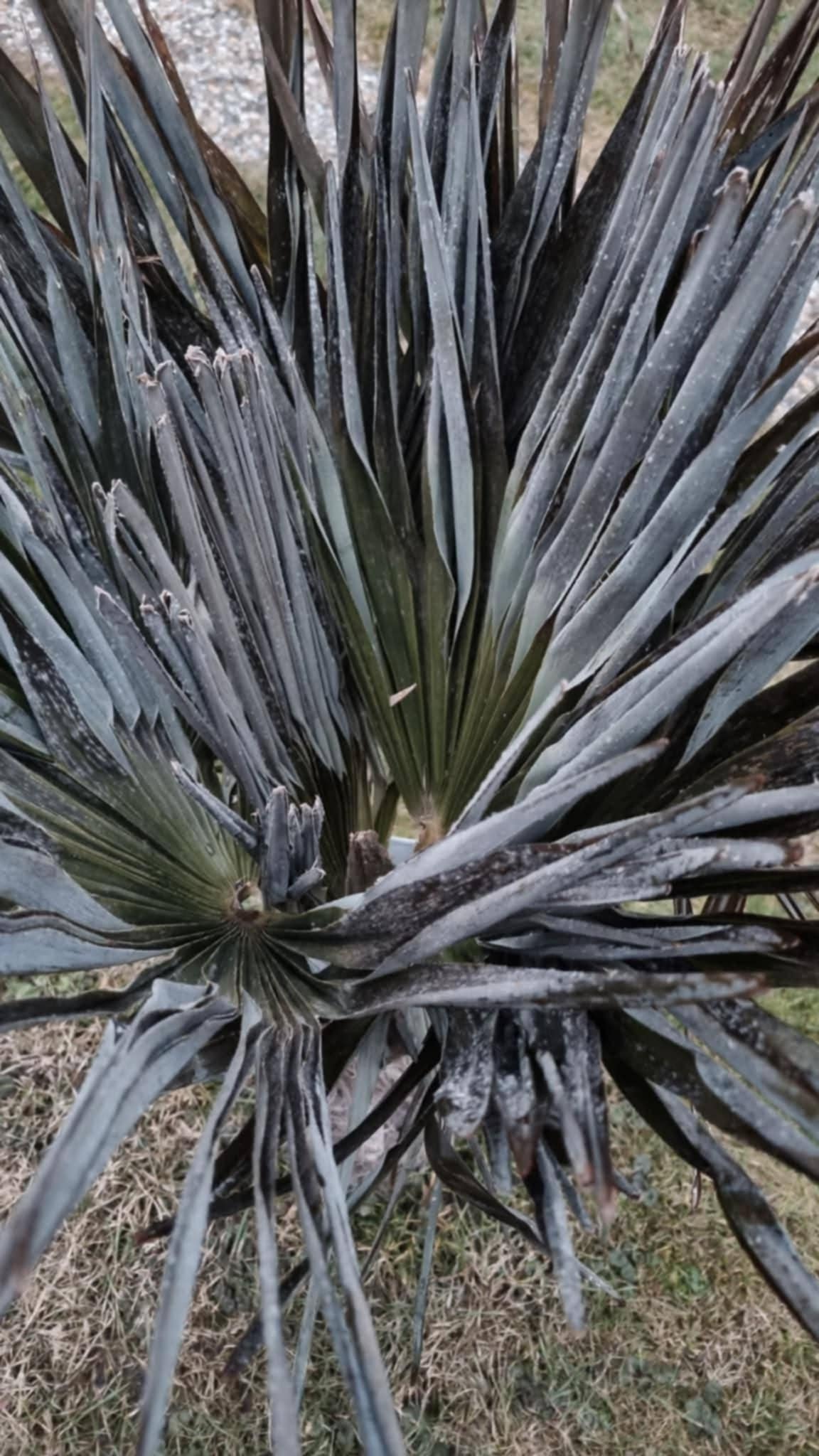 06ae5223-fdd5-49ee-b2b3-6ba88ed42019