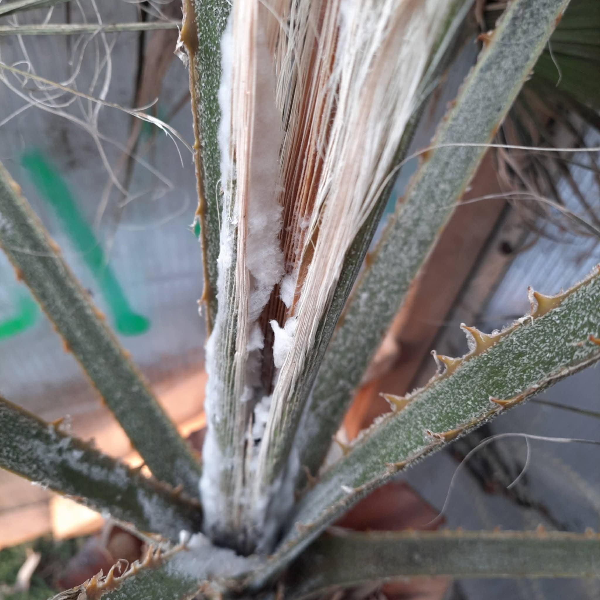 1cf80656-2e19-4142-8ad7-c4b2329ef8d8