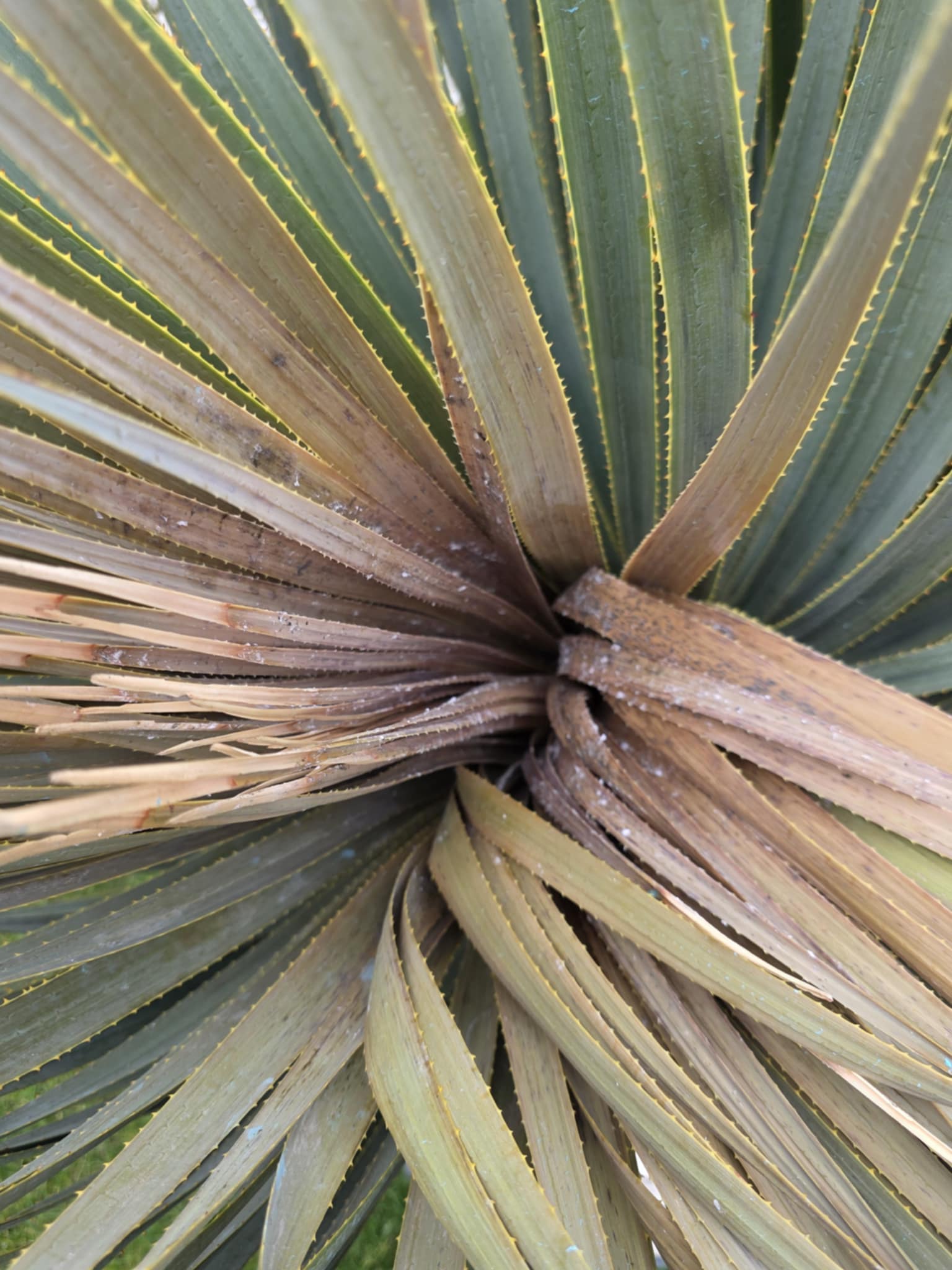 7e6f69a7-7f75-41da-8854-b4e407047161