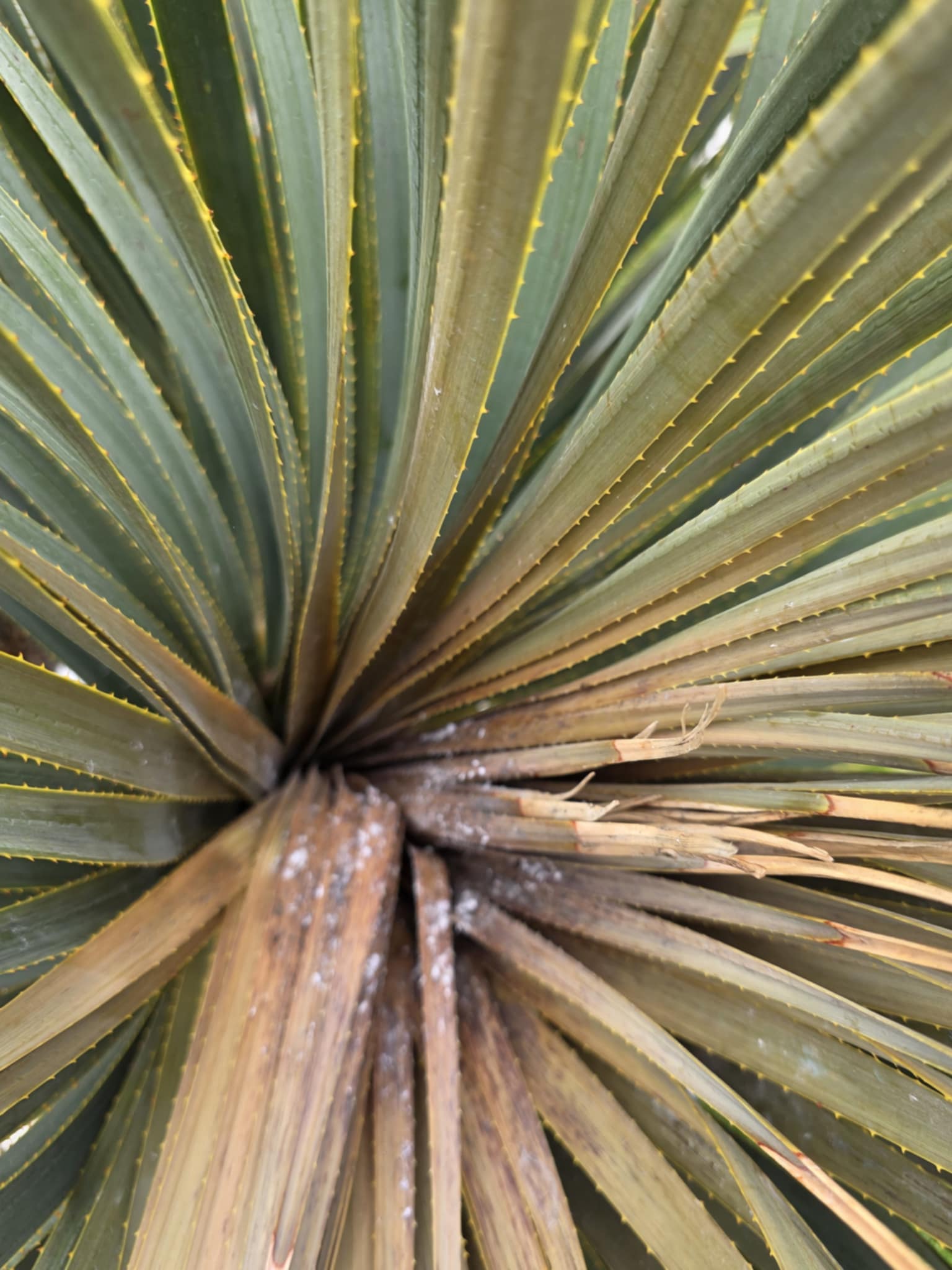 d5ddcf75-7103-4c51-942c-0b603a6483c4