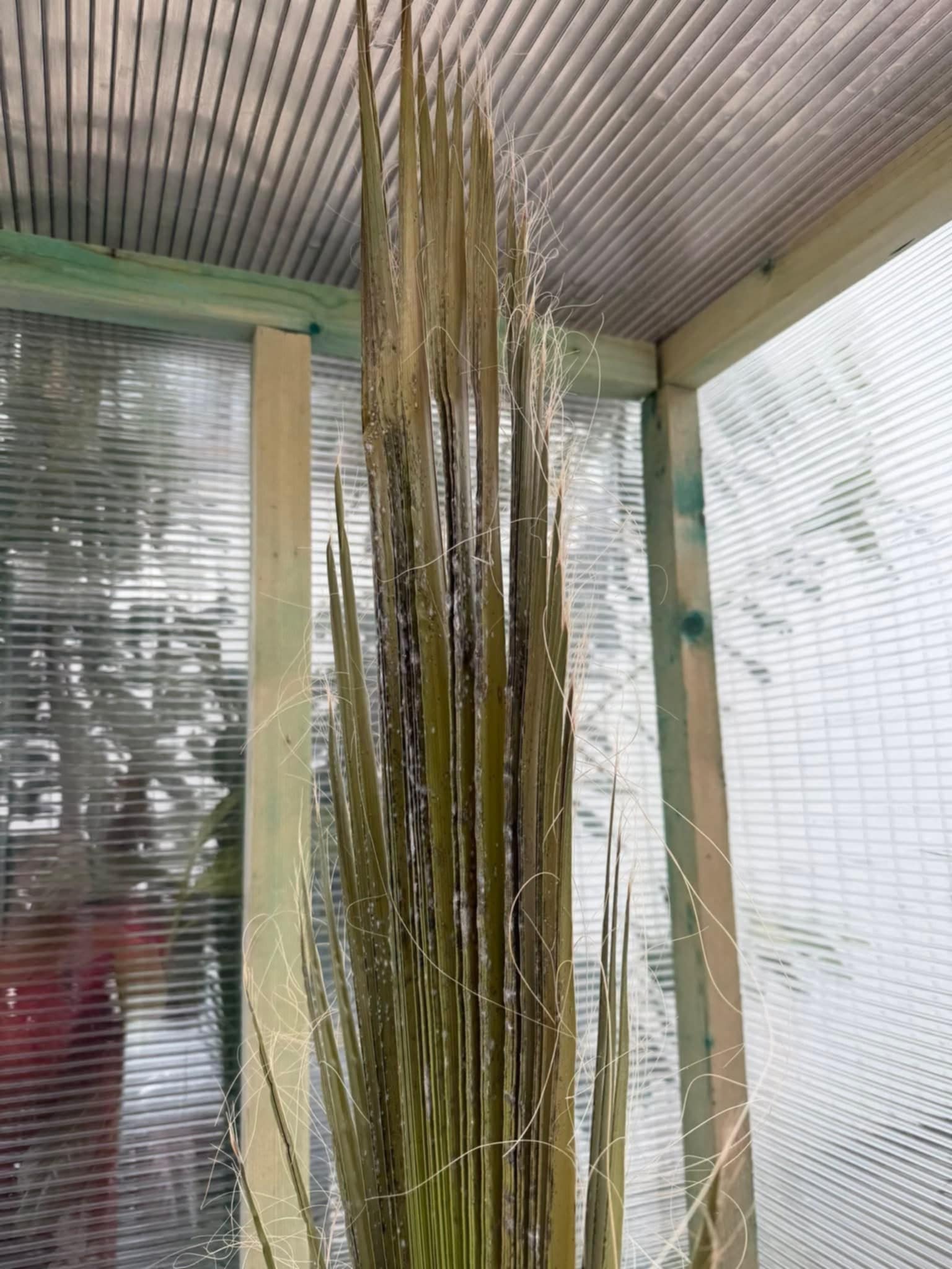 db1110d6-ee92-4d9d-8987-4896a3e3d8e7