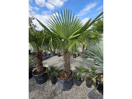 27847fee c3e7 49a2 8e7e b74e440dba84