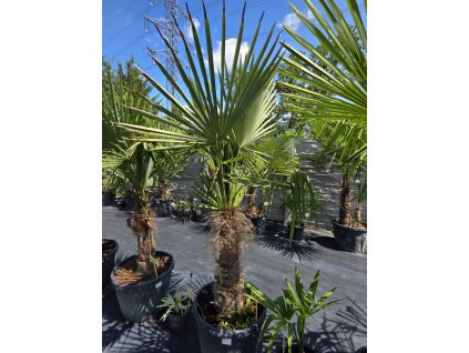 cc9ed547 86c6 477a 88ad e58740e3bf08