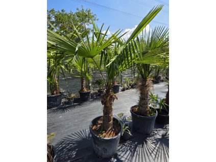 66b8cd88 c4b9 4176 89f1 5a06ecc6c182