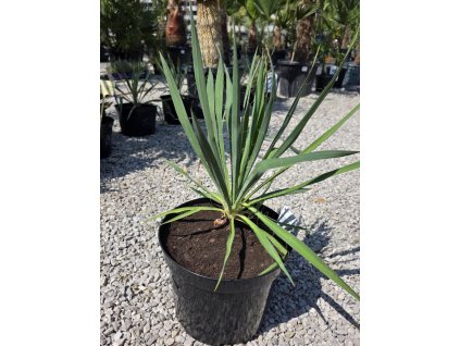 12914d6b ab72 4ac9 9df0 fc0c1a11f34c