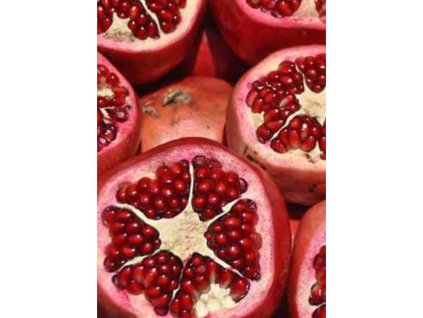 Punica granatum ‘Tendral’ – granátové jablko, hrúbka kmeňa 4-6 cm