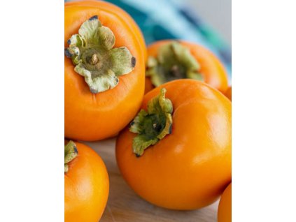 Diospyros kaki ‘Fuyu’